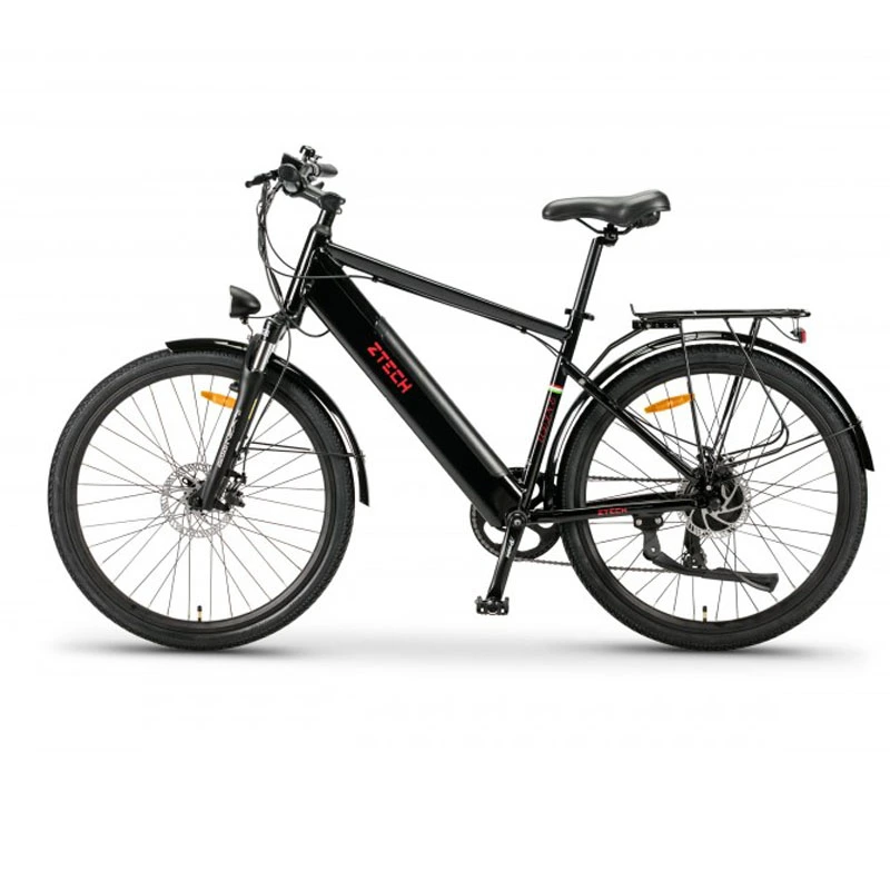 E-bike 250W